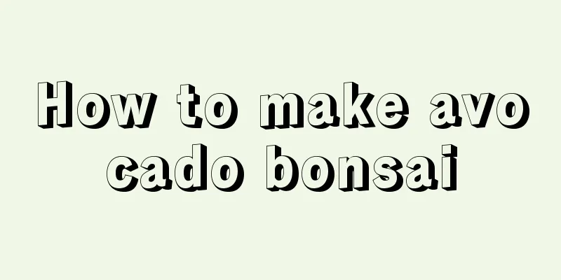 How to make avocado bonsai