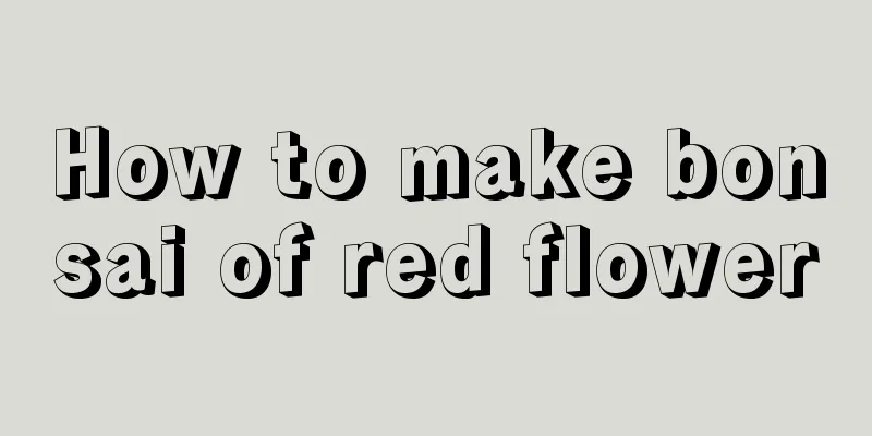 How to make bonsai of red flower