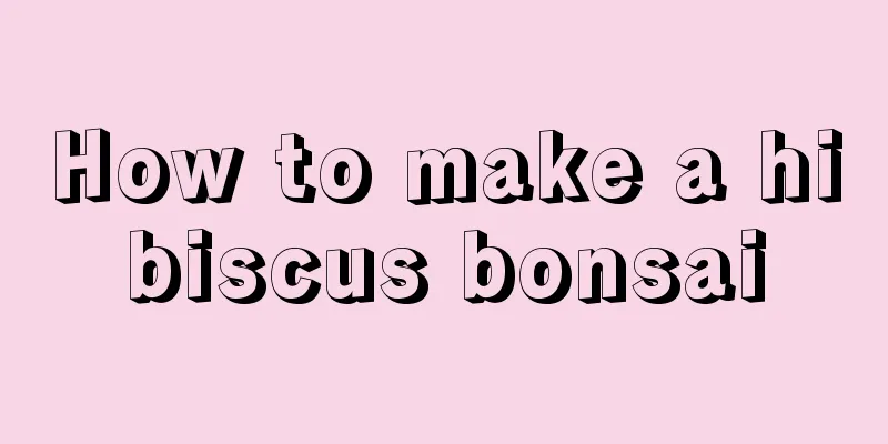 How to make a hibiscus bonsai