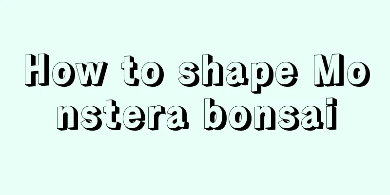 How to shape Monstera bonsai