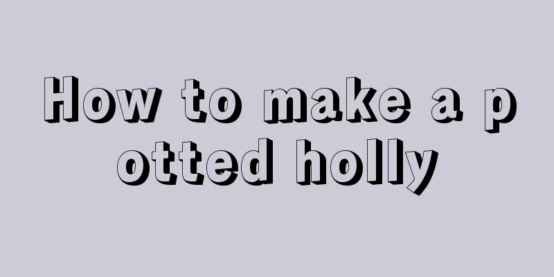 How to make a potted holly