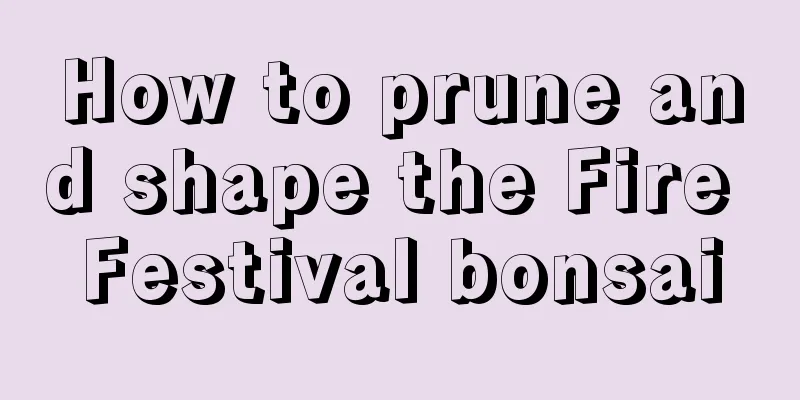 How to prune and shape the Fire Festival bonsai