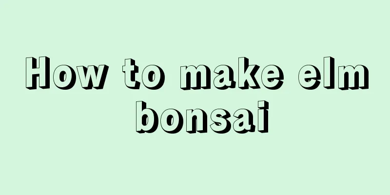 How to make elm bonsai