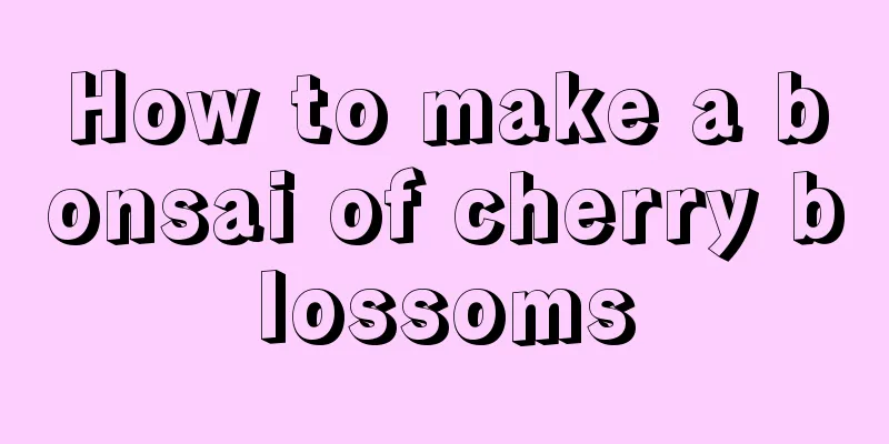 How to make a bonsai of cherry blossoms