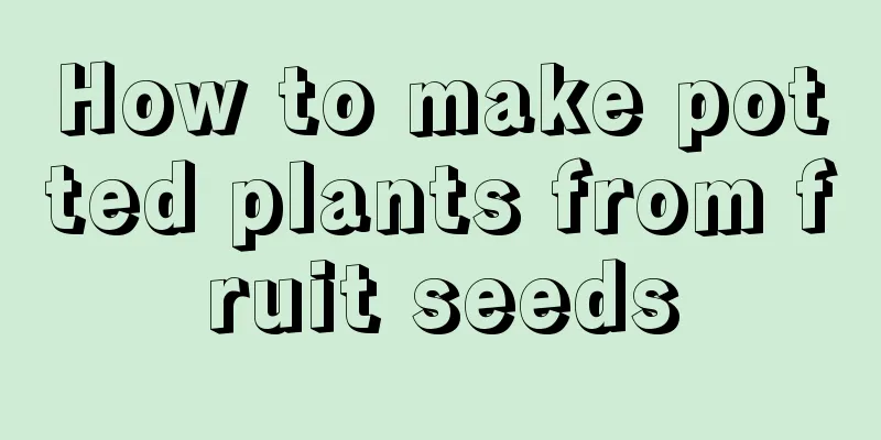 How to make potted plants from fruit seeds