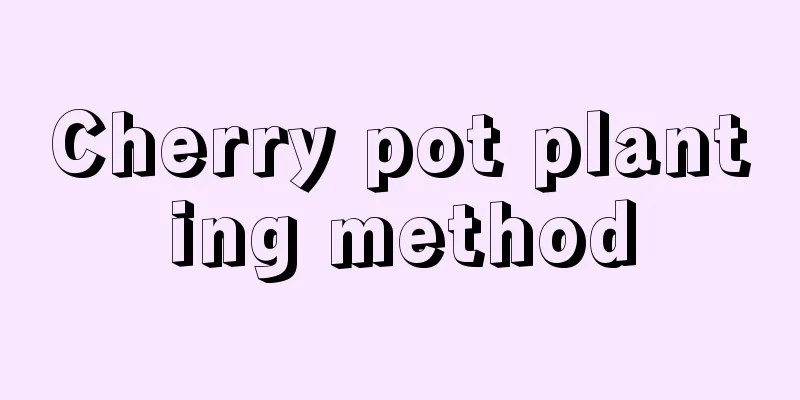 Cherry pot planting method