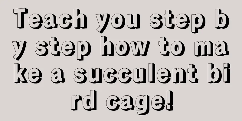 Teach you step by step how to make a succulent bird cage!