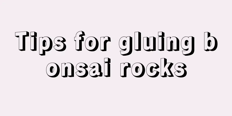 Tips for gluing bonsai rocks