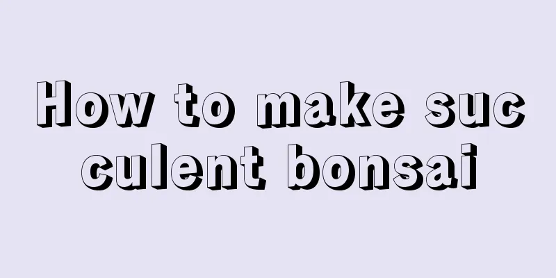 How to make succulent bonsai