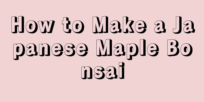 How to Make a Japanese Maple Bonsai