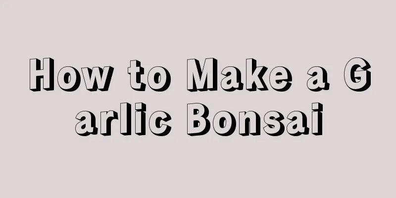 How to Make a Garlic Bonsai