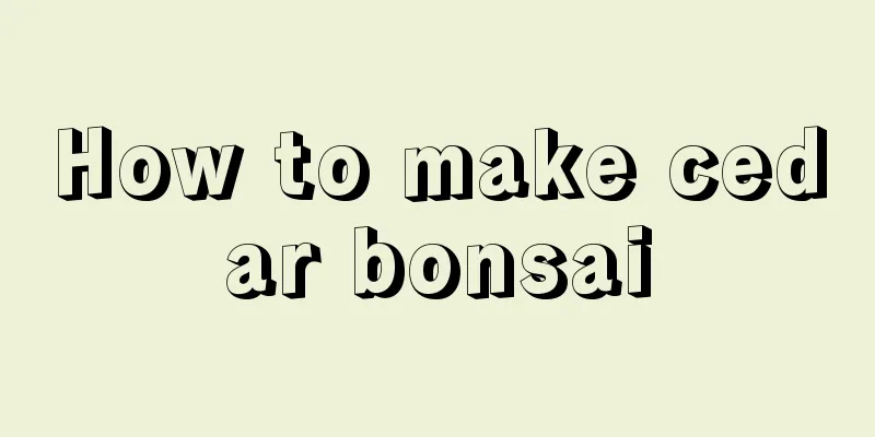 How to make cedar bonsai