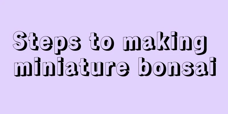 Steps to making miniature bonsai