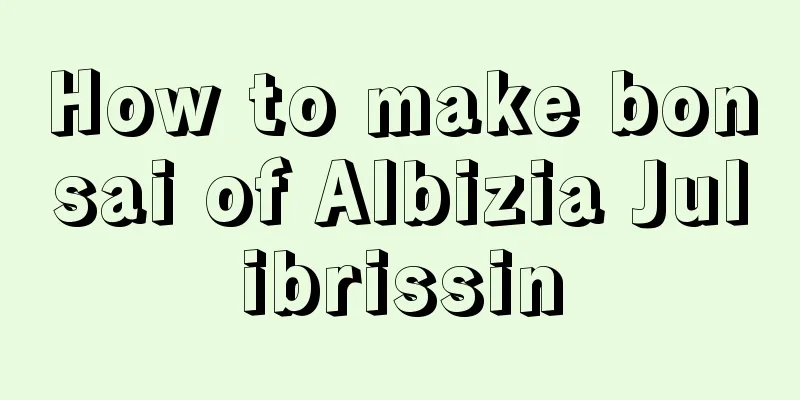 How to make bonsai of Albizia Julibrissin