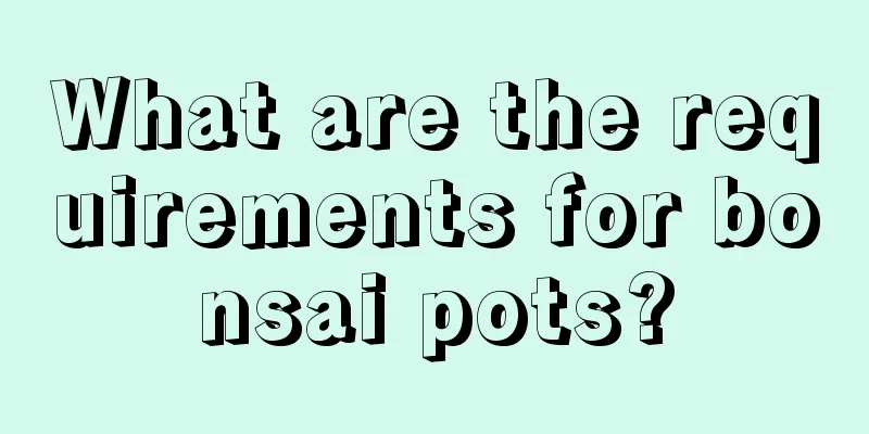 What are the requirements for bonsai pots?