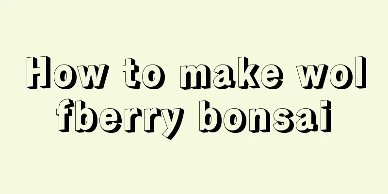 How to make wolfberry bonsai