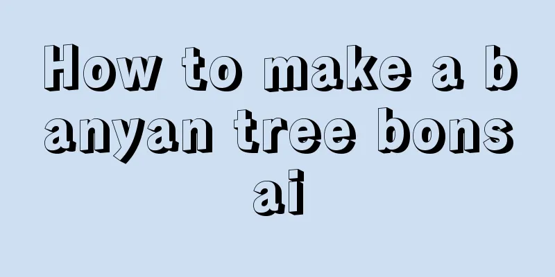 How to make a banyan tree bonsai