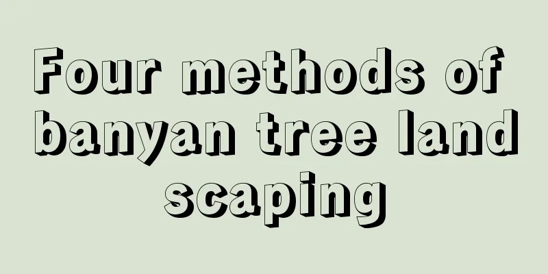 Four methods of banyan tree landscaping