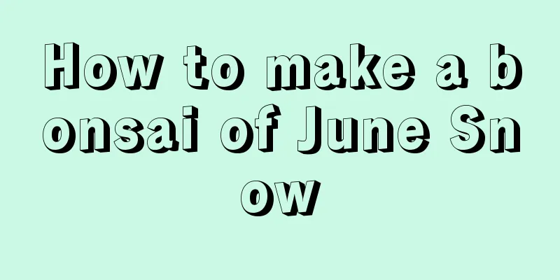 How to make a bonsai of June Snow