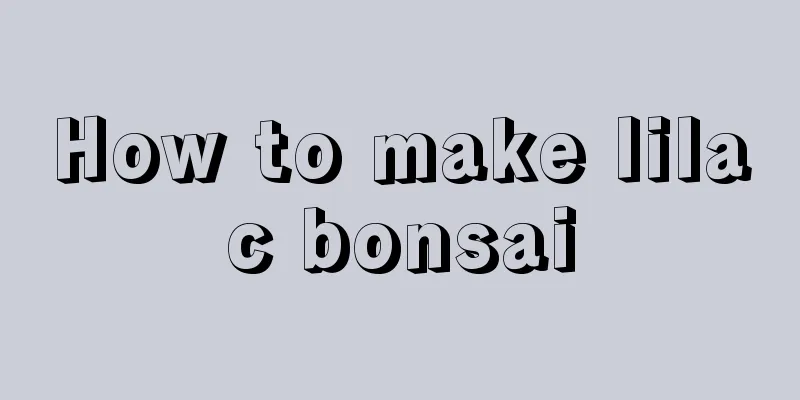 How to make lilac bonsai