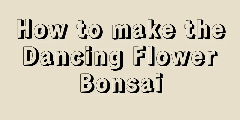 How to make the Dancing Flower Bonsai