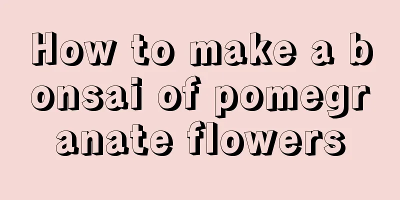 How to make a bonsai of pomegranate flowers