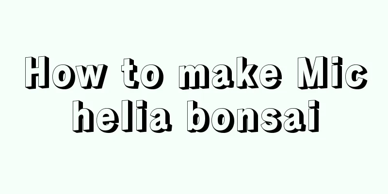 How to make Michelia bonsai