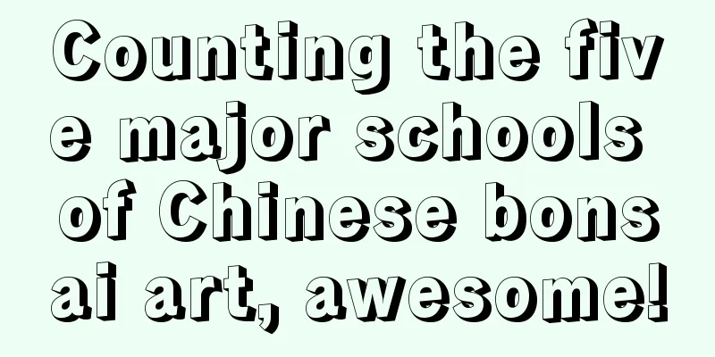 Counting the five major schools of Chinese bonsai art, awesome!