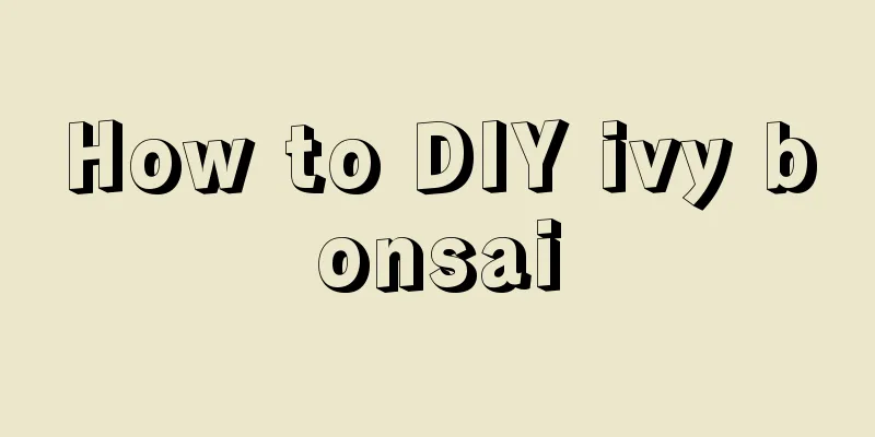 How to DIY ivy bonsai