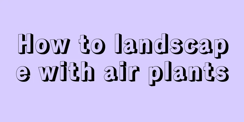 How to landscape with air plants