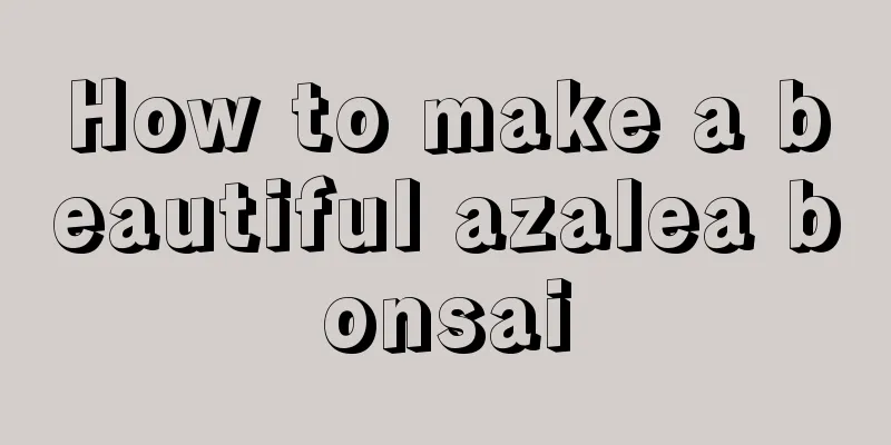 How to make a beautiful azalea bonsai