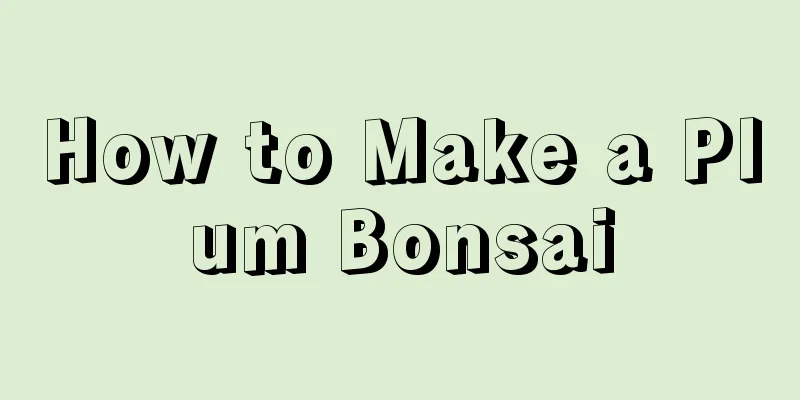 How to Make a Plum Bonsai