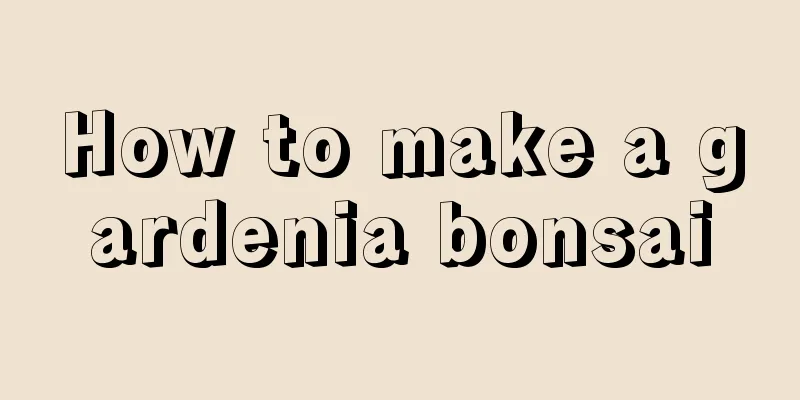 How to make a gardenia bonsai