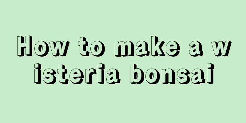 How to make a wisteria bonsai