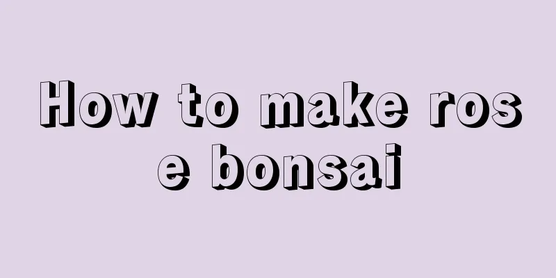 How to make rose bonsai