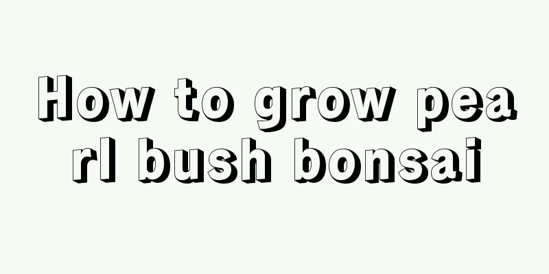 How to grow pearl bush bonsai