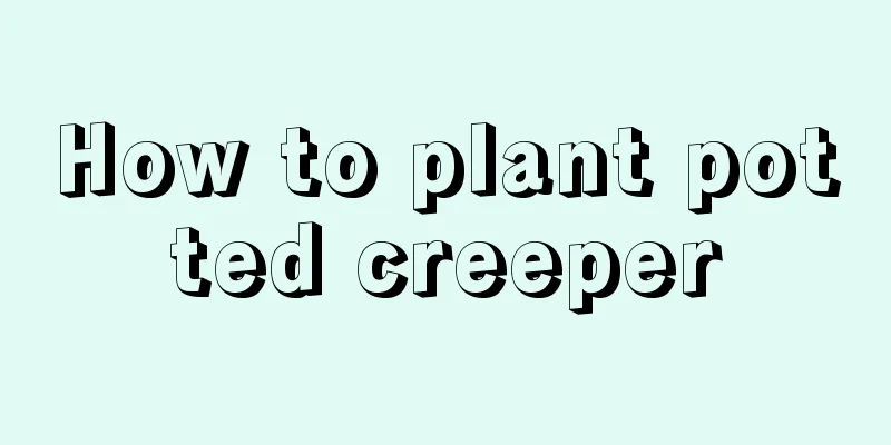 How to plant potted creeper