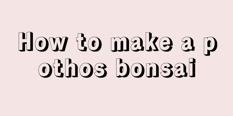 How to make a pothos bonsai