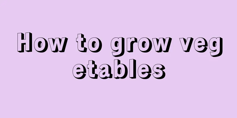 How to grow vegetables