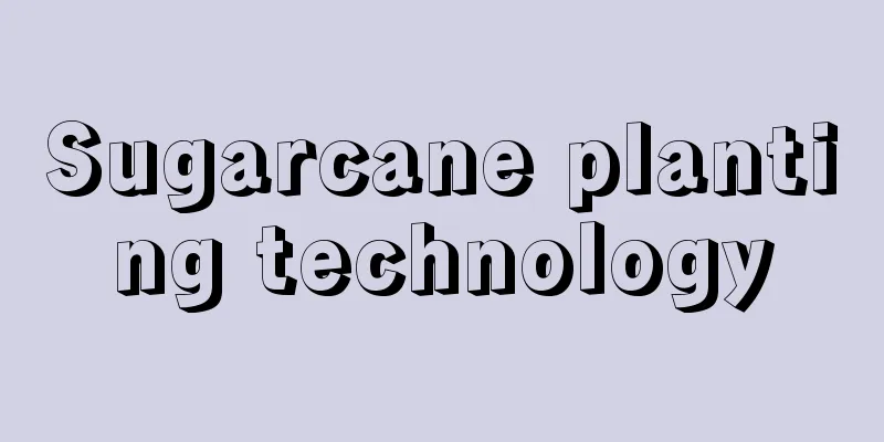 Sugarcane planting technology