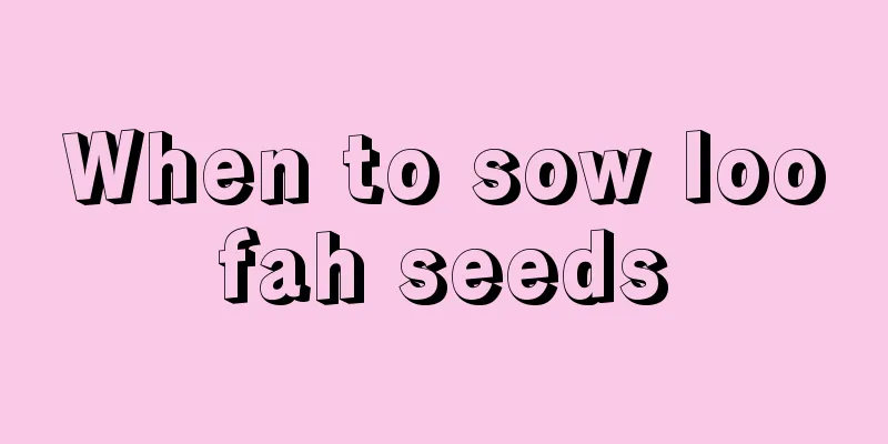 When to sow loofah seeds