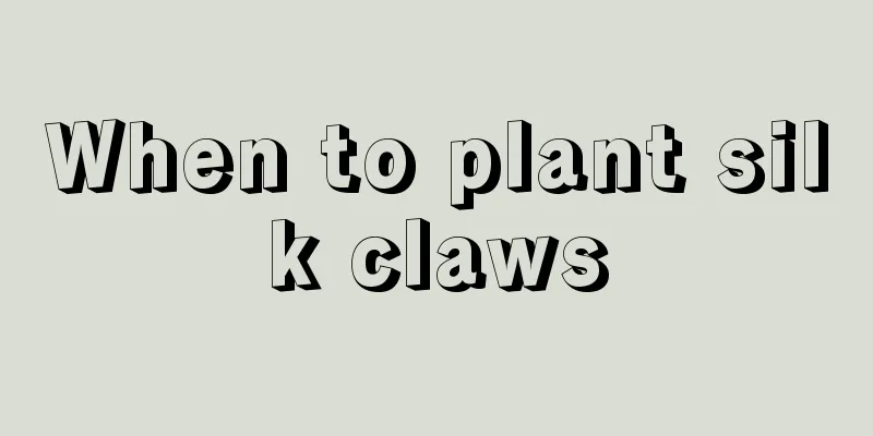 When to plant silk claws