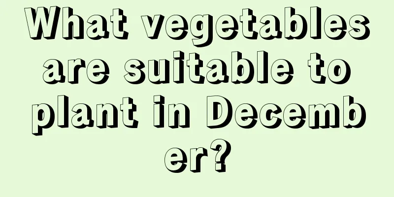 What vegetables are suitable to plant in December?