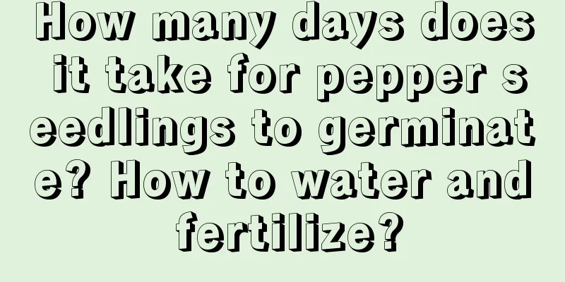 How many days does it take for pepper seedlings to germinate? How to water and fertilize?