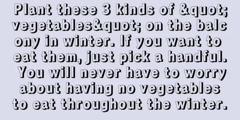 Plant these 3 kinds of "vegetables" on the balcony in winter. If you want to eat them, just pick a handful. You will never have to worry about having no vegetables to eat throughout the winter.