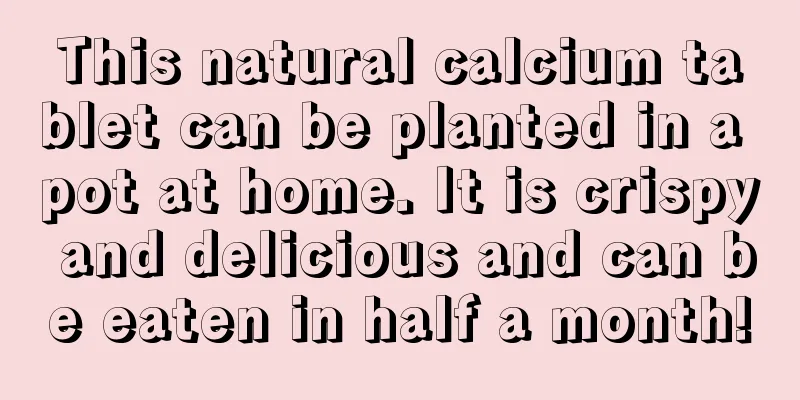 This natural calcium tablet can be planted in a pot at home. It is crispy and delicious and can be eaten in half a month!