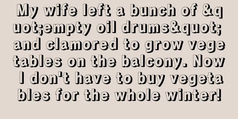 My wife left a bunch of "empty oil drums" and clamored to grow vegetables on the balcony. Now I don't have to buy vegetables for the whole winter!