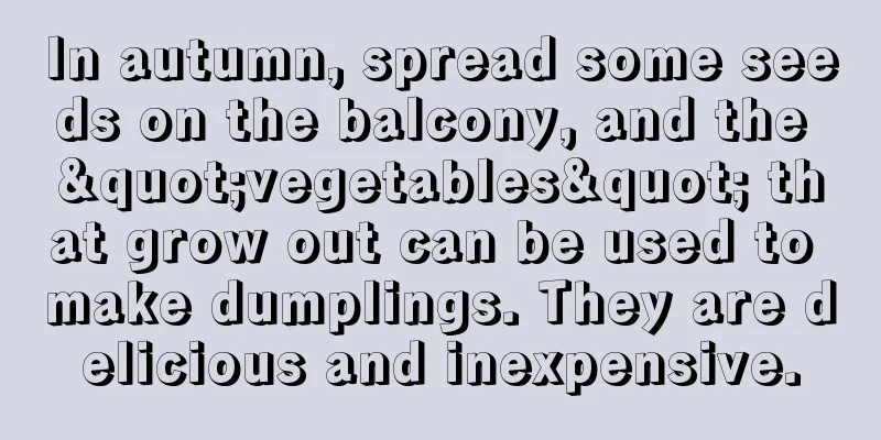 In autumn, spread some seeds on the balcony, and the "vegetables" that grow out can be used to make dumplings. They are delicious and inexpensive.