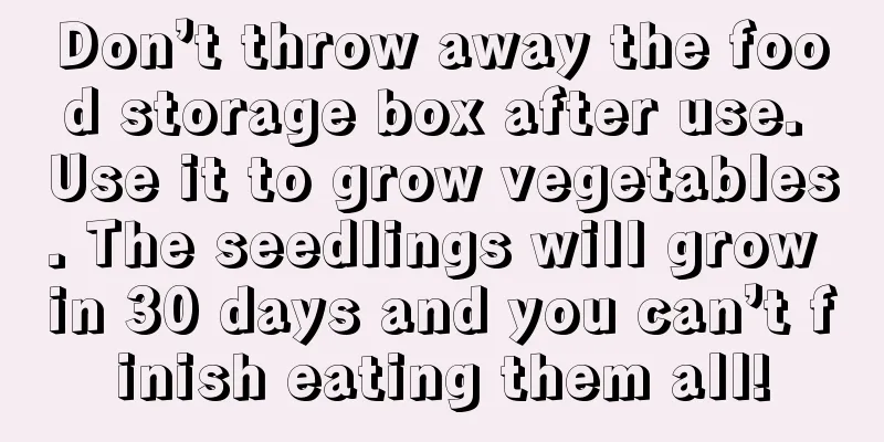 Don’t throw away the food storage box after use. Use it to grow vegetables. The seedlings will grow in 30 days and you can’t finish eating them all!