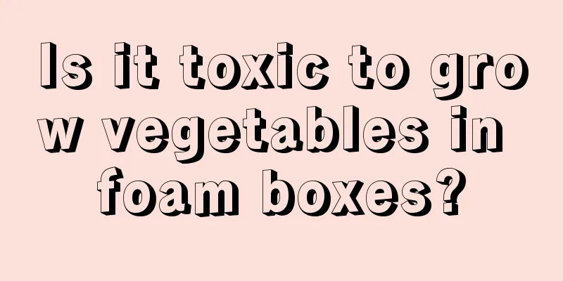 Is it toxic to grow vegetables in foam boxes?